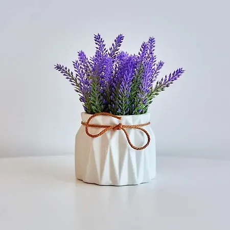 Apartman Black Sea - Mang Năvodari